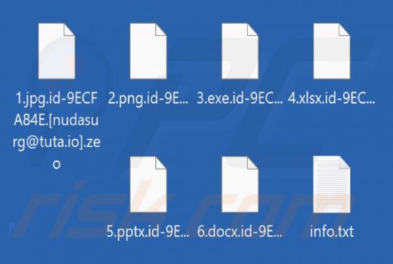 Zeo Ransomware