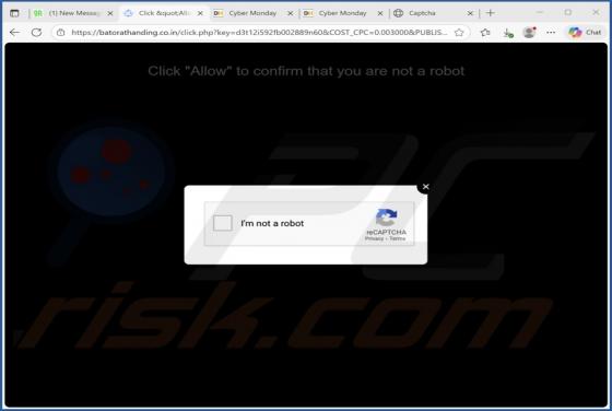 Batorathanding.co.in Ads