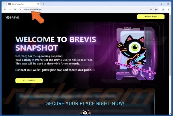 Brevis Snapshot Scam