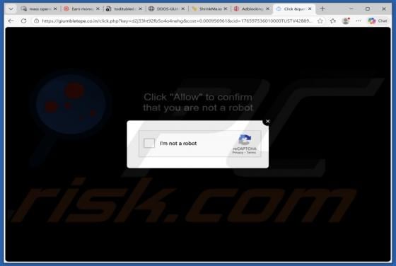 Giumbletepe.co.in Ads