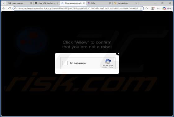 Sulatinborry.co.in Ads