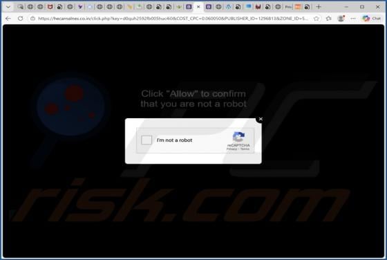 Hecarnalnes.co.in Ads