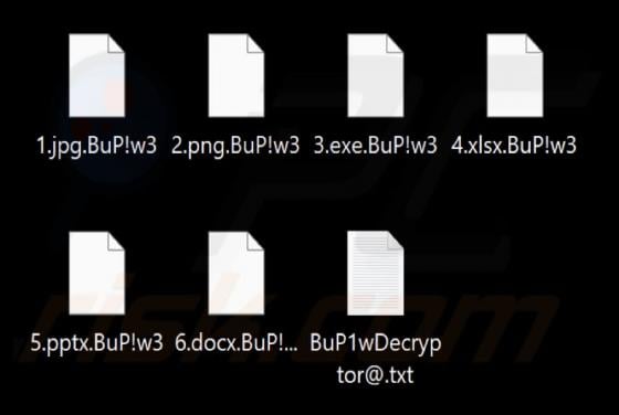 BuP1w (Ran$omClub) Ransomware