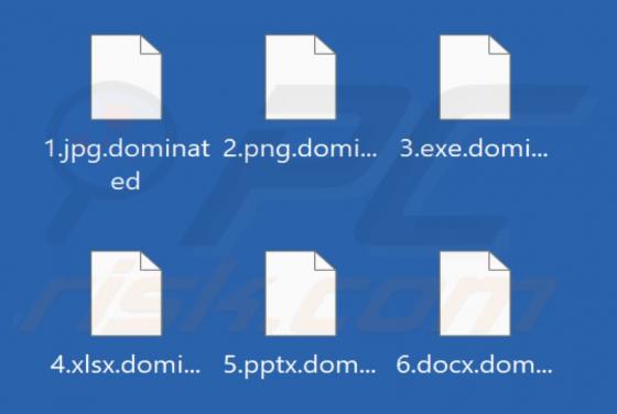 Absolute Domination Ransomware