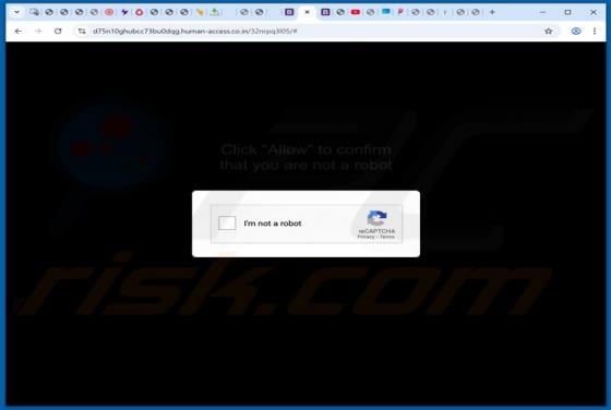 Human-access.co.in Ads