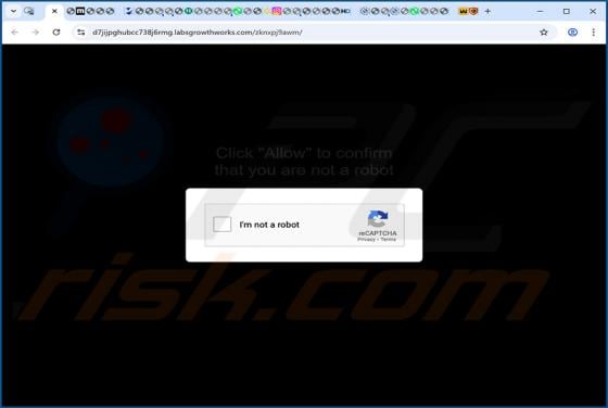 Labsgrowthworks.com Ads