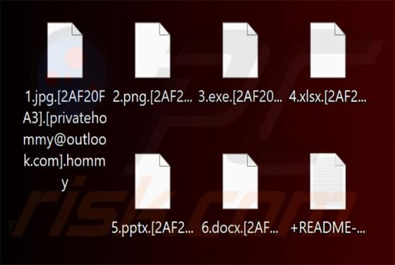 Hommy Ransomware