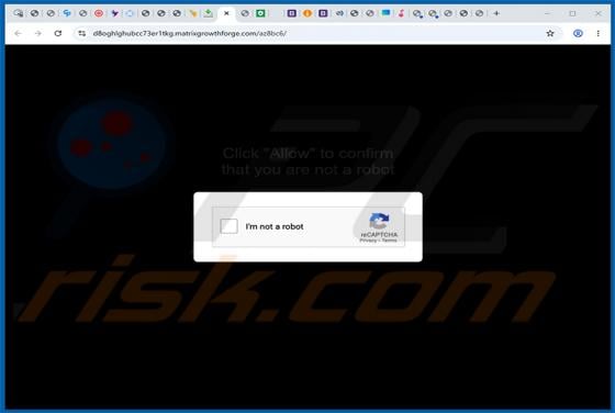 Matrixgrowthforge.com Ads