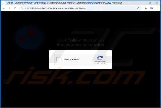 Trackturbonest.co.in Ads