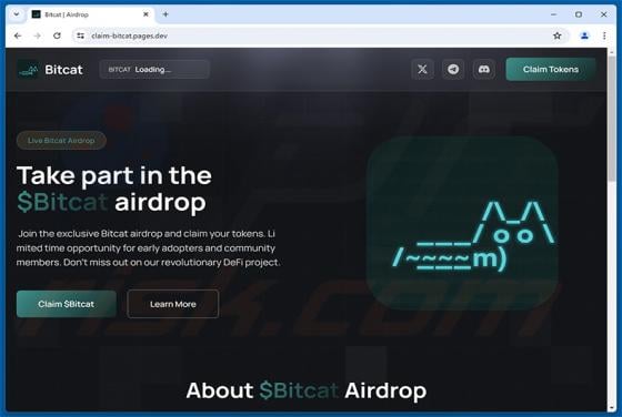 $Bitcat Airdrop Scam