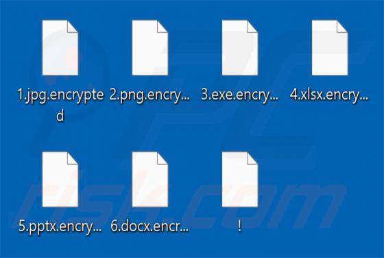 SUCKS 2 SUCK Ransomware
