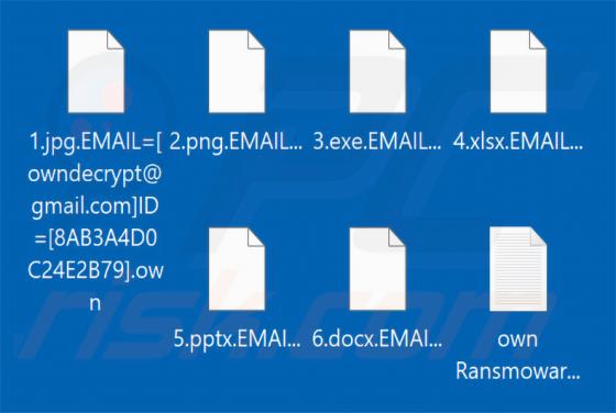 Own Ransomware