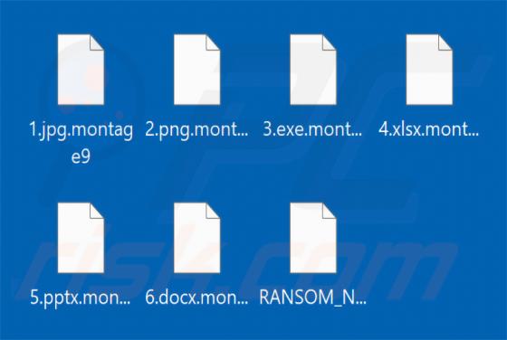 Montage Ransomware