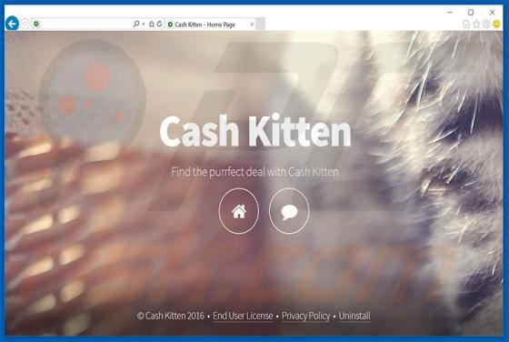 Ads by Cash Kitten