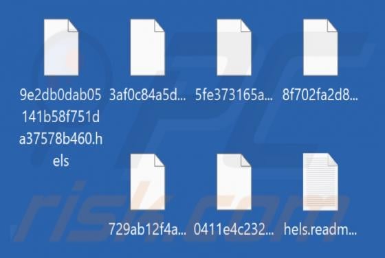 BLACK-HEOLAS Ransomware