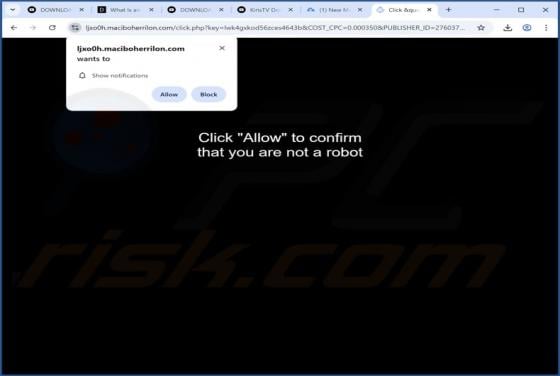 Maciboherrilon.com Ads