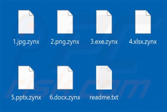 Zynex Ransomware